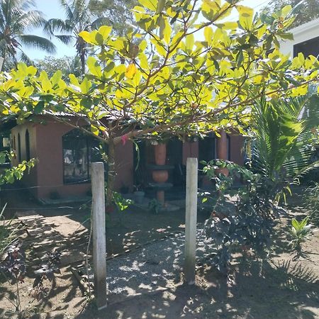 Micheck Beach House Appartement Tortuguero Buitenkant foto