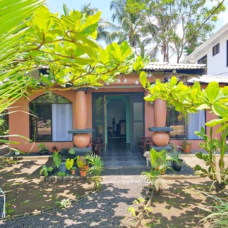 Micheck Beach House Appartement Tortuguero Buitenkant foto