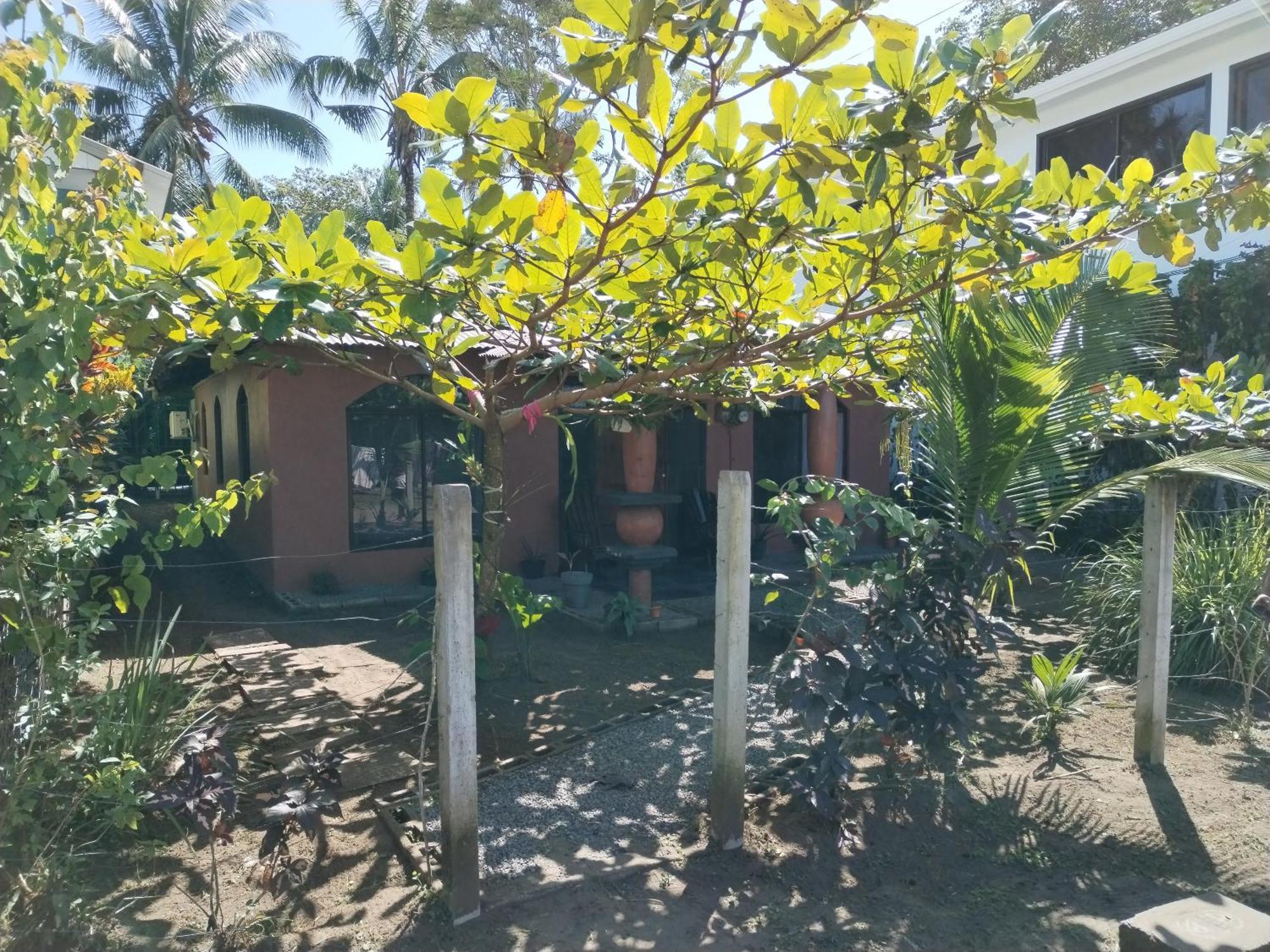 Micheck Beach House Appartement Tortuguero Buitenkant foto