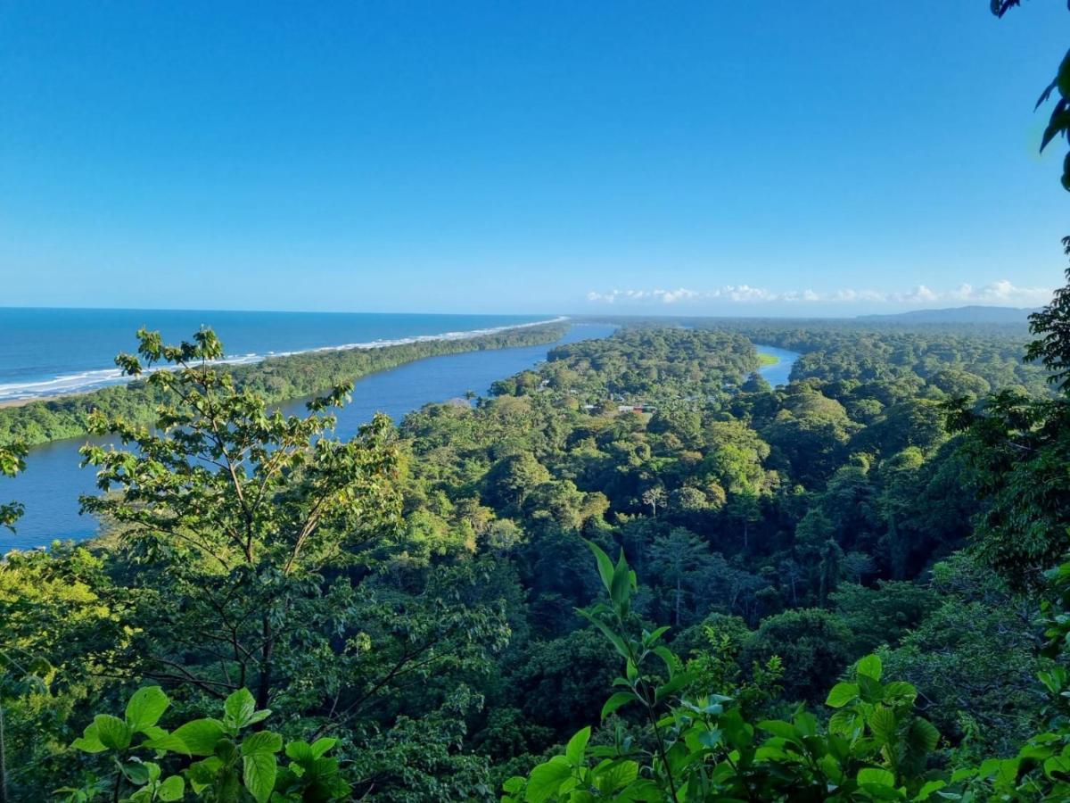 Micheck Beach House Appartement Tortuguero Buitenkant foto